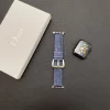 best apple watch Dior band