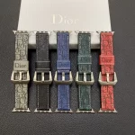 The best Dior Apple Watch Band