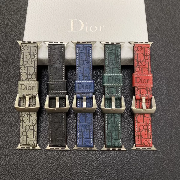 The best Dior Apple Watch Band